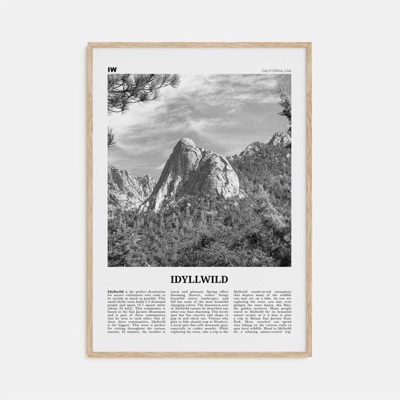 Idyllwild Black And White No. 2 Travel Poster