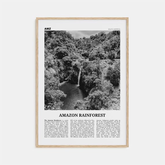 Amazon Rainforest Black And White Poster