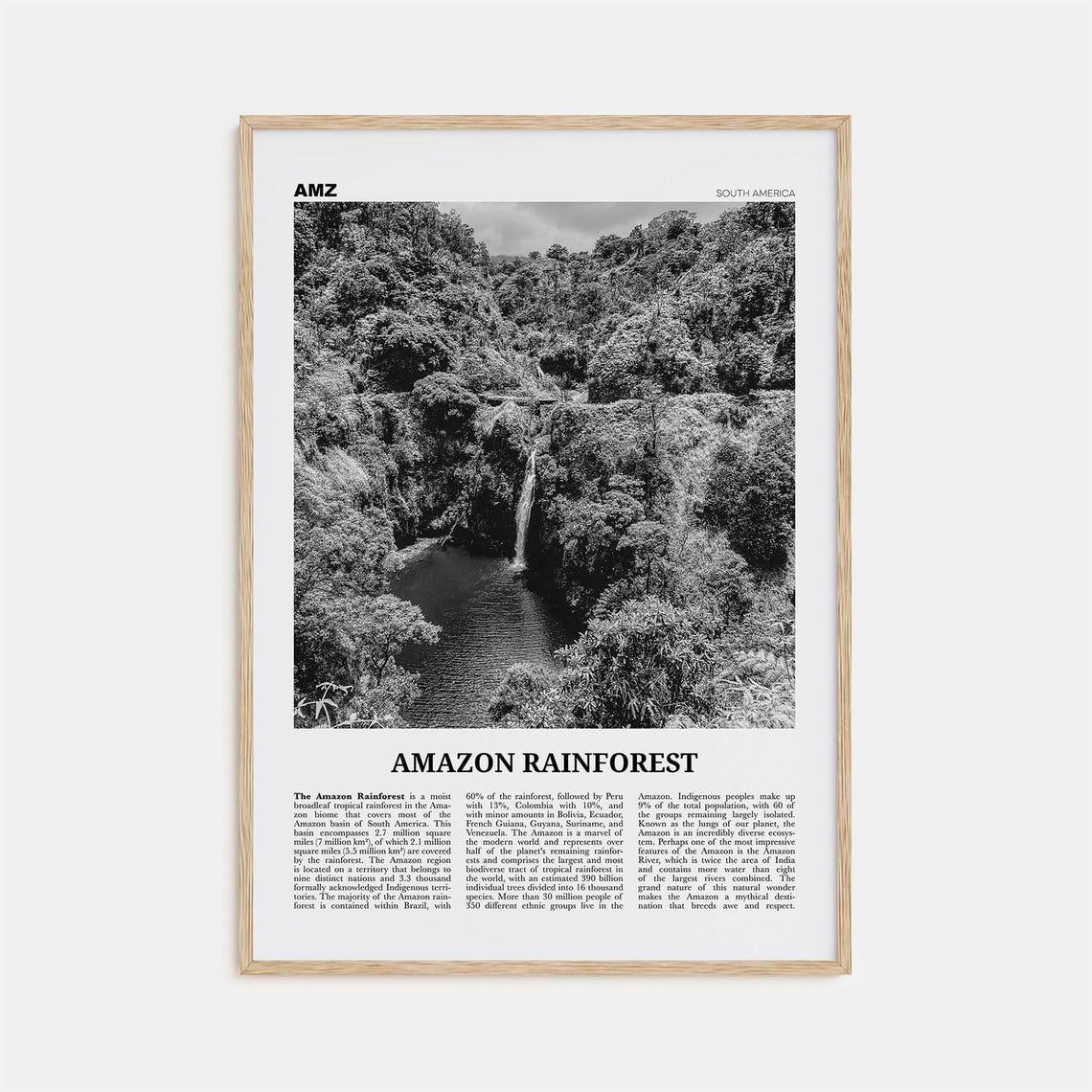 Amazon Rainforest Black And White Poster