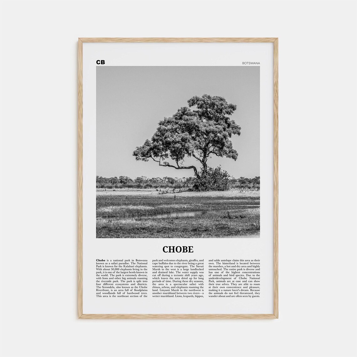 Chobe National Park, Botswana Travel Poster