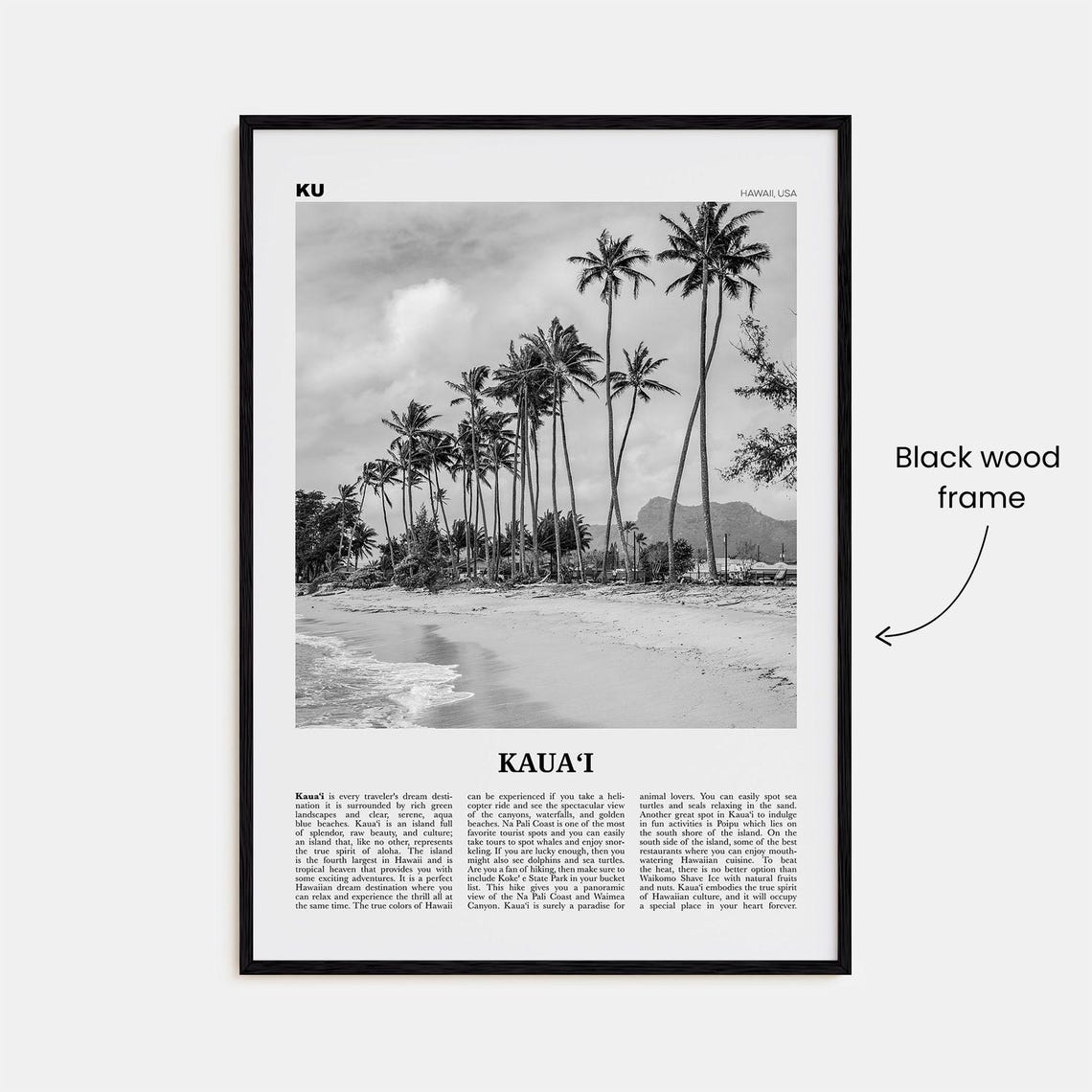 Kauai Black and White No. 2 Hawaii Travel Poster - Image 3