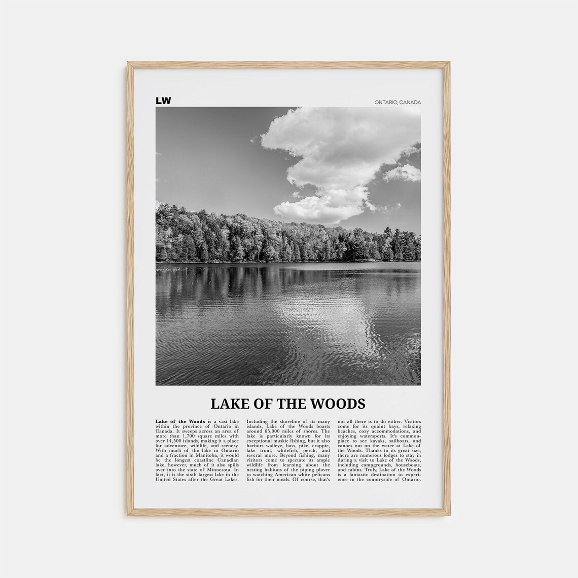 Lake Of The Woods Black And White Art Print