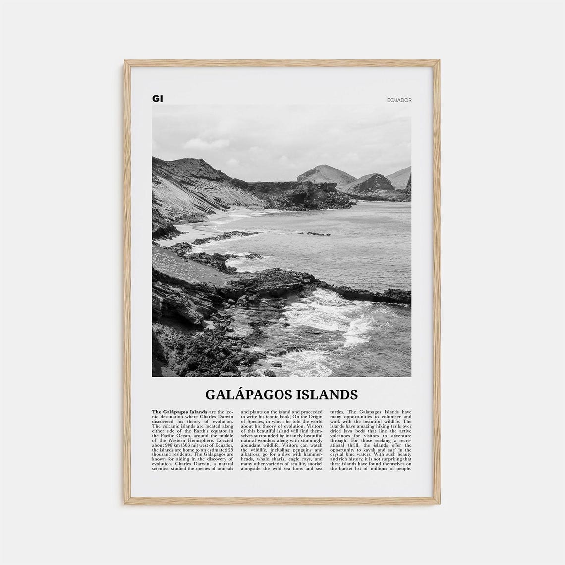 Galapagos Islands Black and White Travel Poster