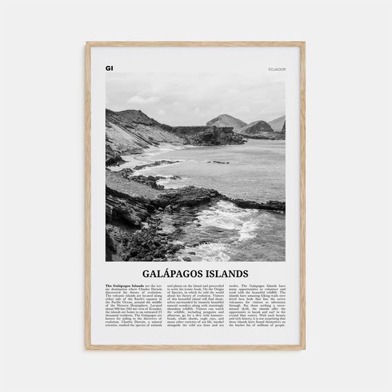 Galapagos Islands Black and White Travel Poster