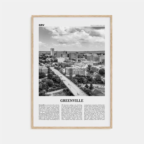 Greenville Black and White No. 1 Travel Poster