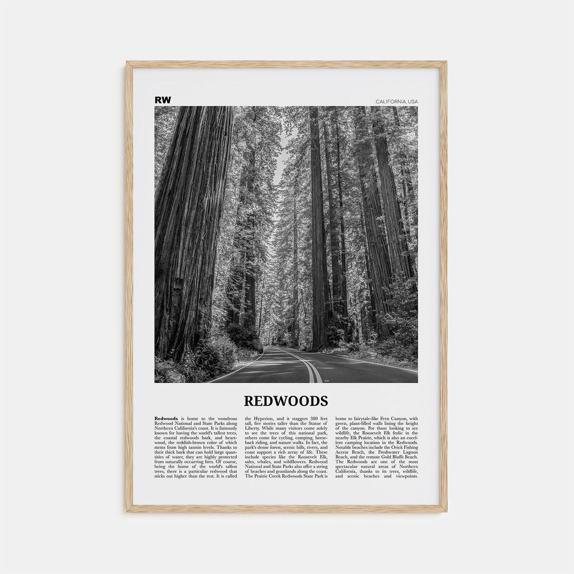 Redwoods Black And White California Travel Poster