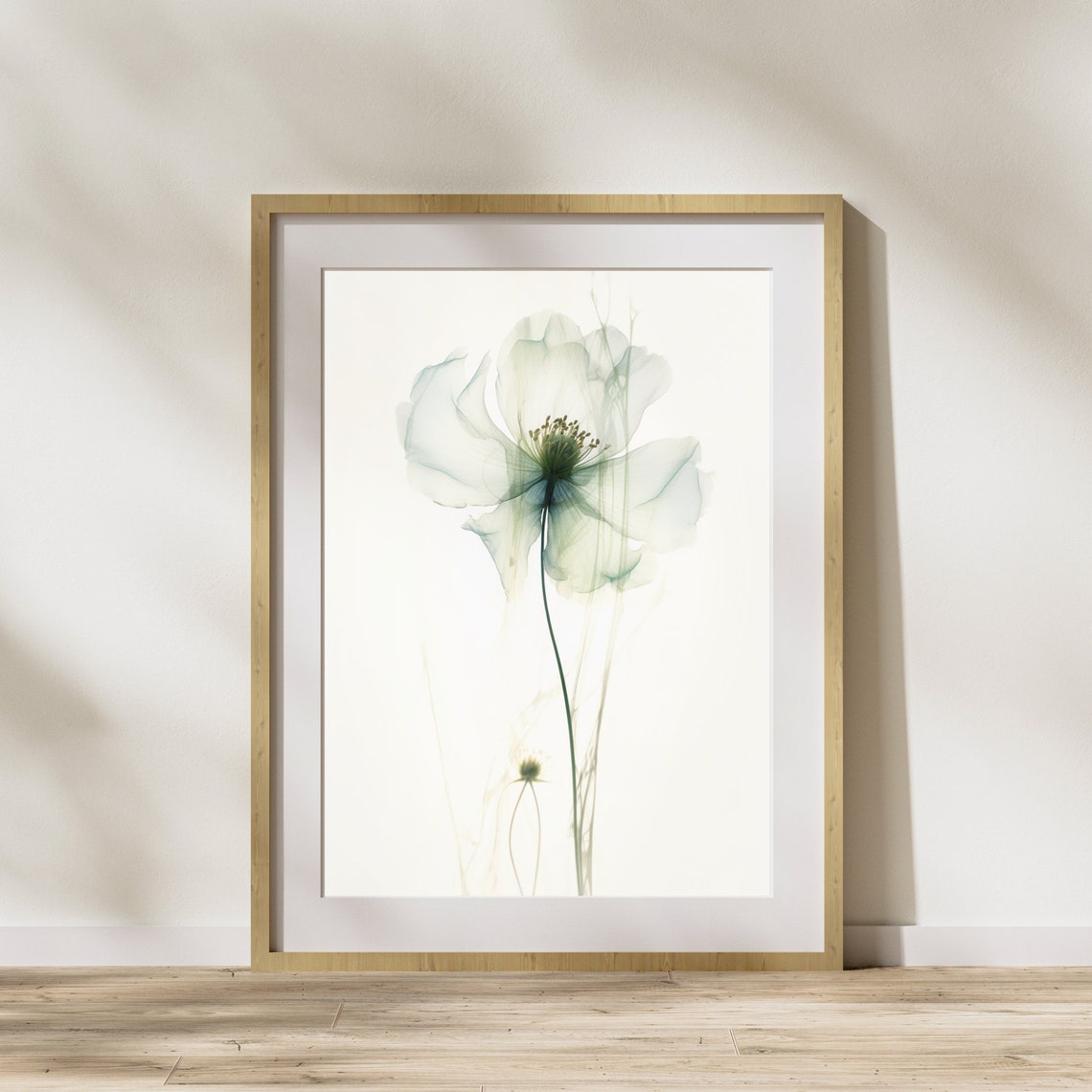 Ethereal White Flower Transparent Petals Soft Botanical Wall Art