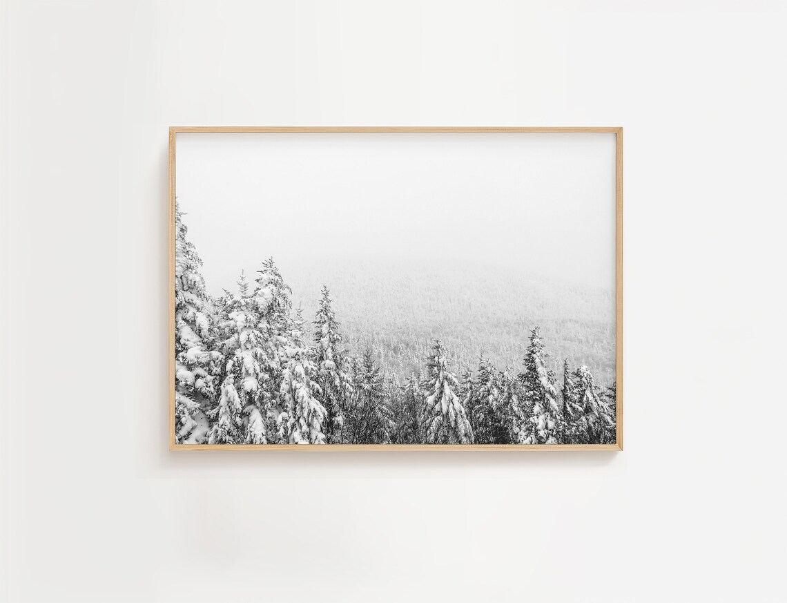 Black And White Snowy Pine Forest Winter Landscape Photo Poster