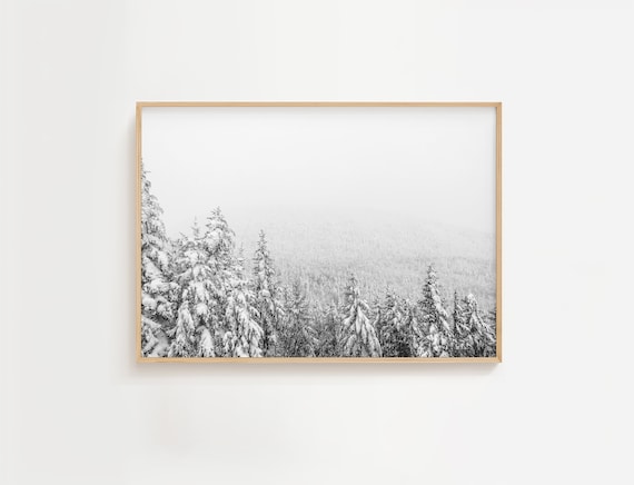Black And White Snowy Pine Forest Winter Landscape Photo Poster