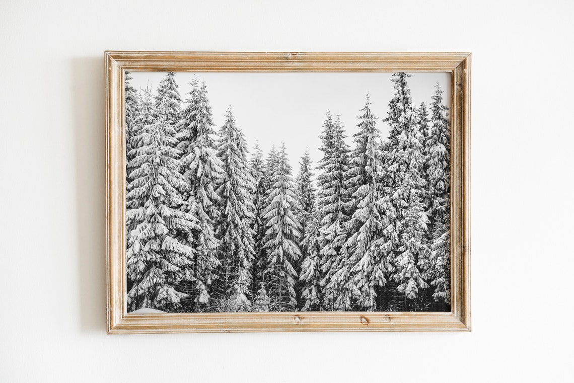 Snow Covered Pine Trees Black White Winter Forest Photo Poster - Image 4