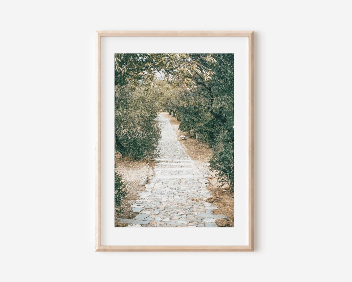 Stone Path Through Green Trees Forest Walk Nature Photography Poster