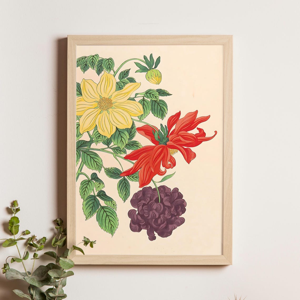 Nishimura Hodo Dahlias In Yellow Red And Plum Vintage Poster Art