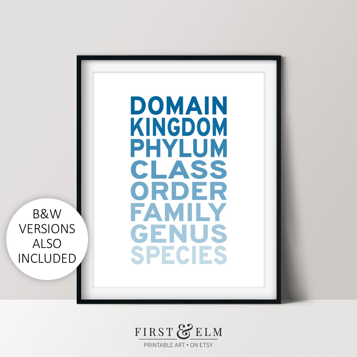 Taxonomic Rank Science Geek Poster, Office Art Print
