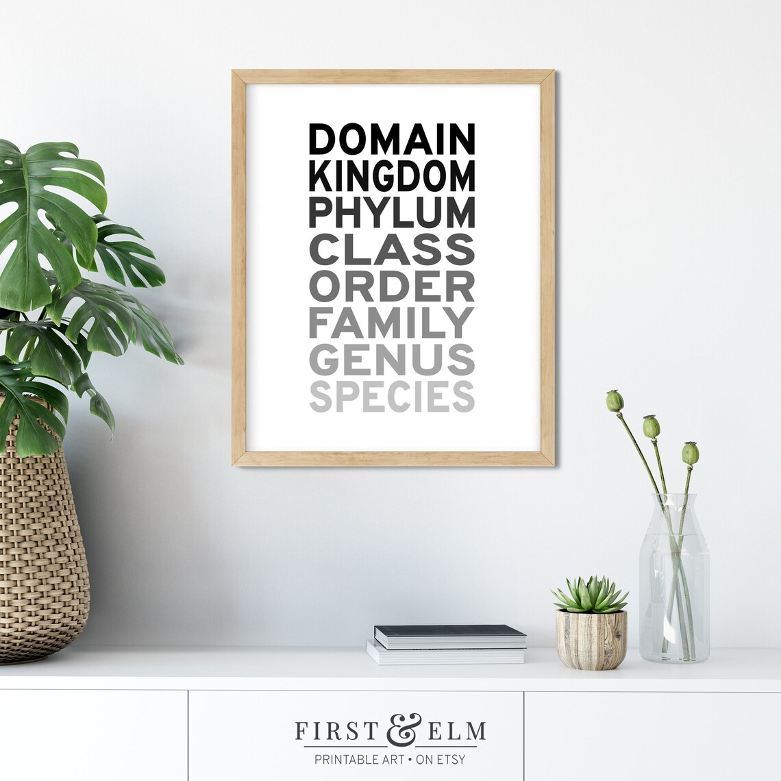 Taxonomic Rank Science Geek Poster, Office Art Print - Image 2