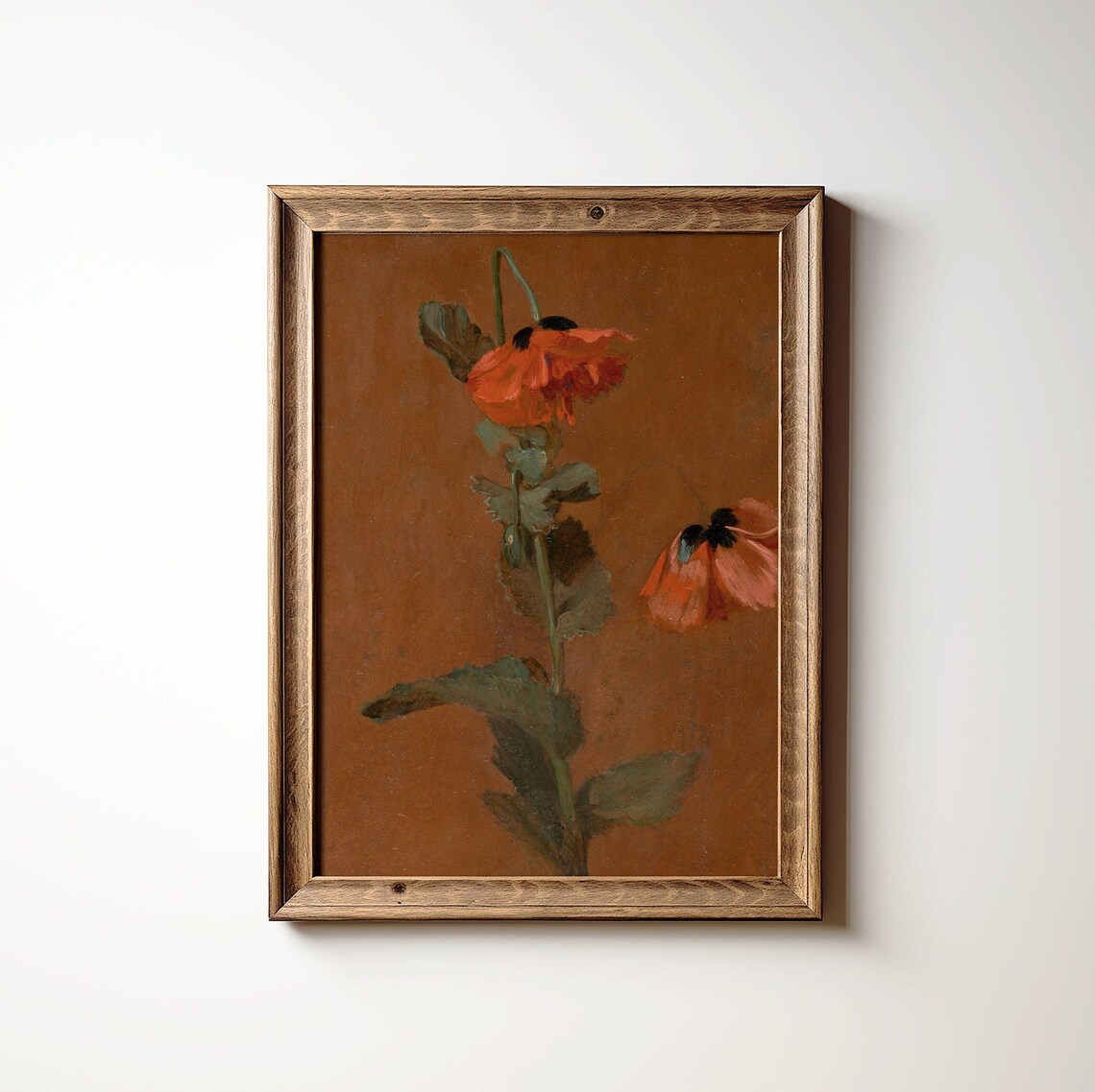 Poppy Flower Vintage Art Print, Botanical Decor