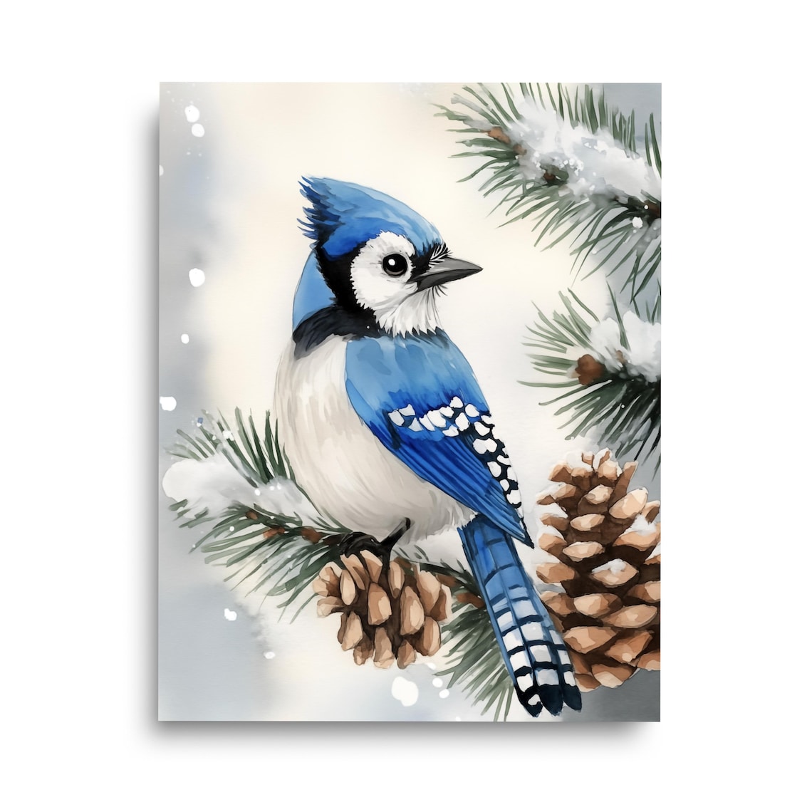 Vivid Snowy Blue Jay Perched on a Pine Branch Winter Watercolor Poster