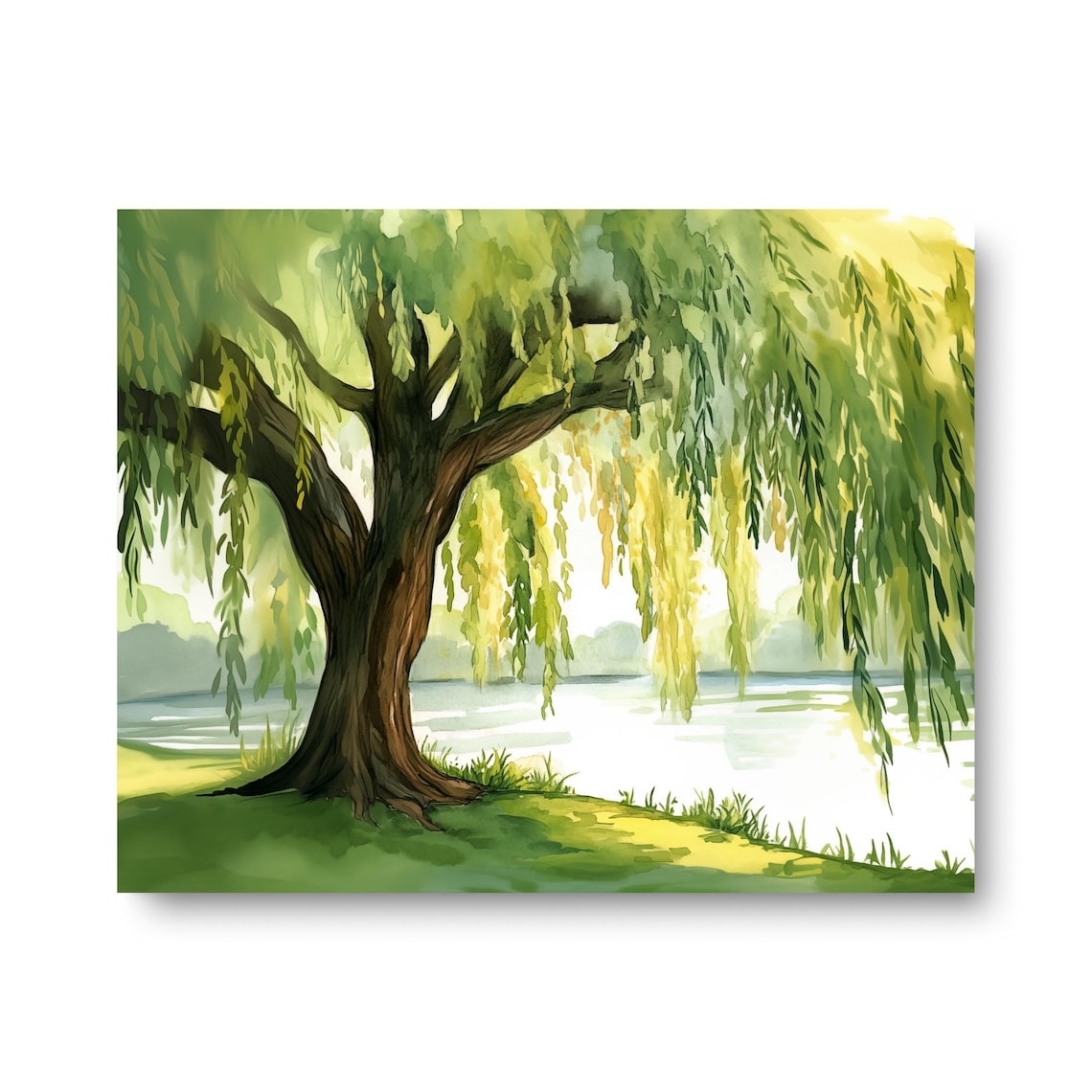 Willow Tree Horizontal Watercolor Art Print