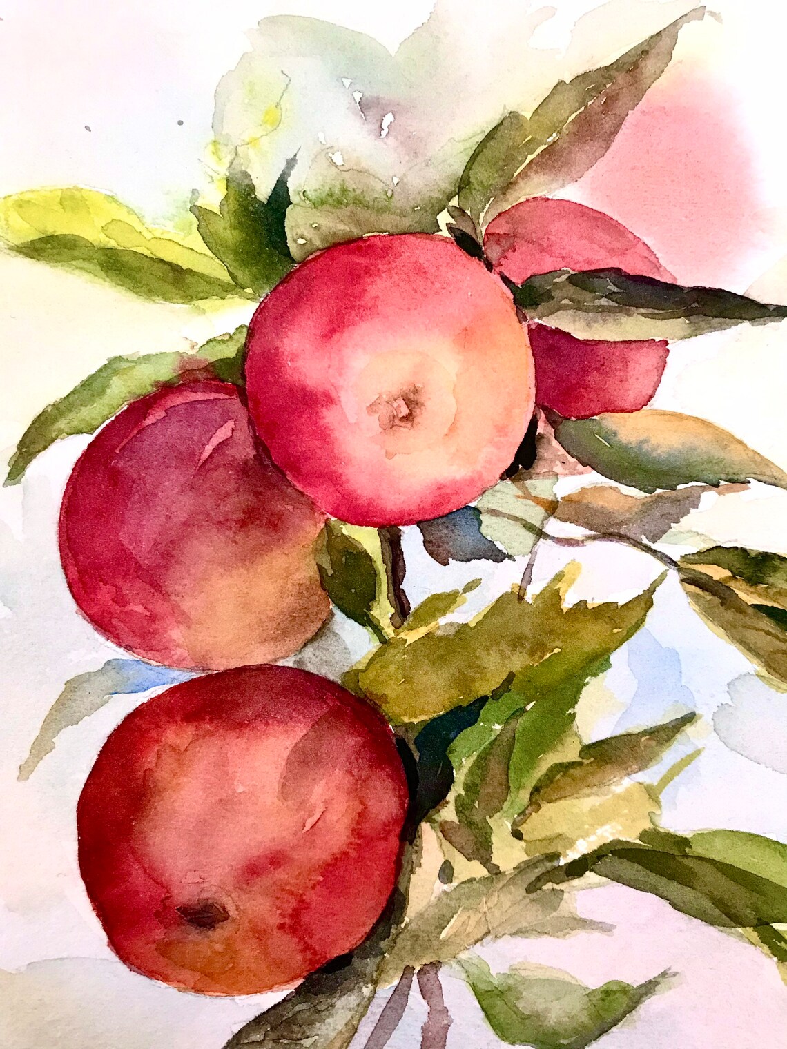 Ripe Red Apples on a Leafy Branch Watercolor Still Life Poster - Image 2