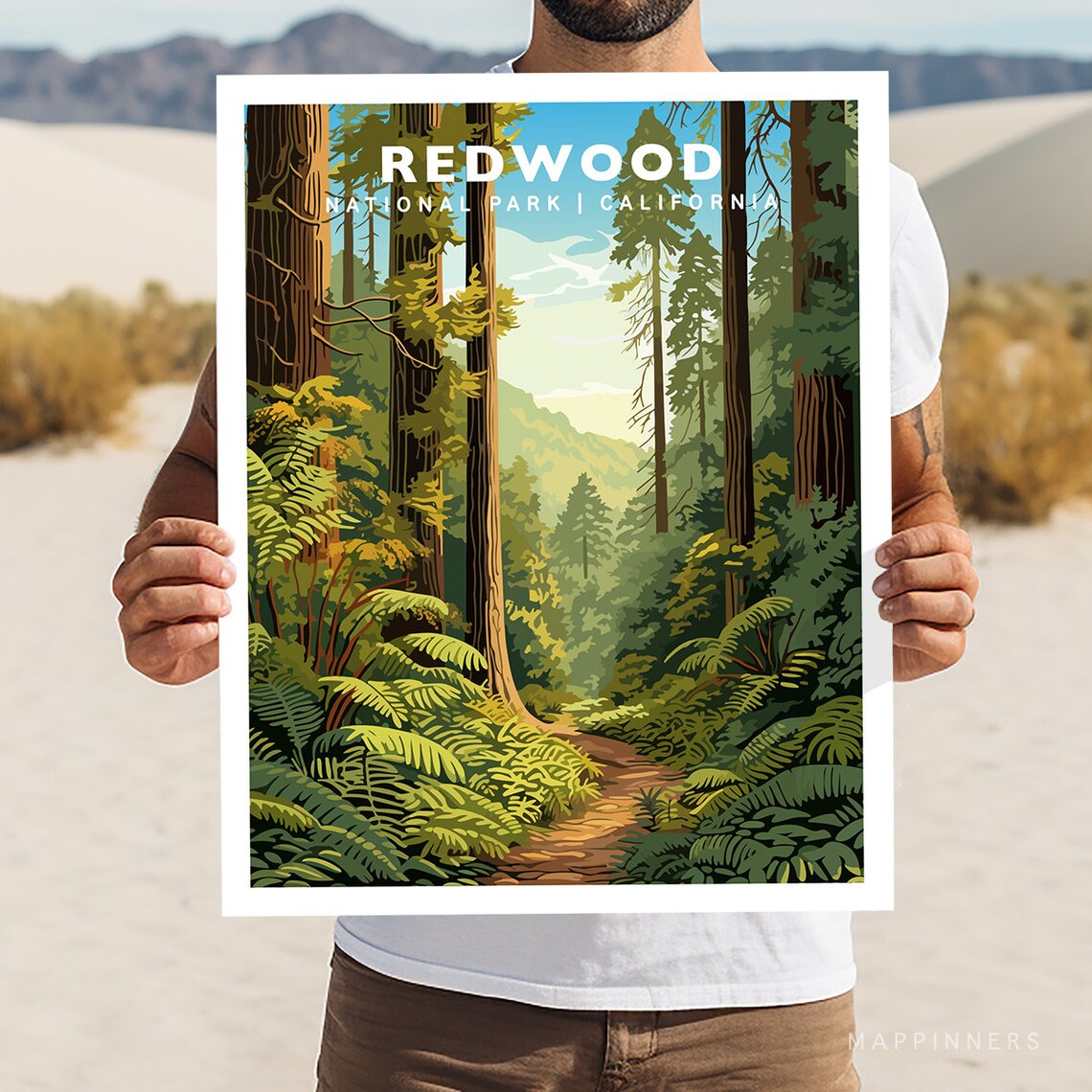 Redwood California National Park Old Growth Forest Fern Trail Poster