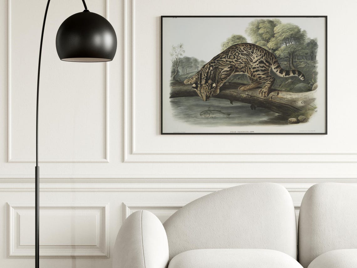 Leopard Antique Poster Dopamine Decor Kitsch Coffee Art Sienctific Print Maximalist Pattern