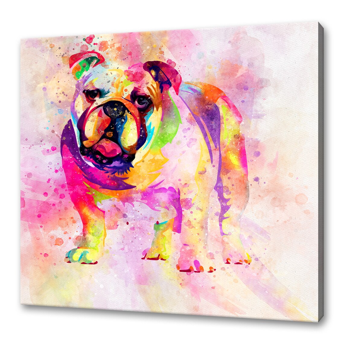 Colourful Bulldog Watercolour Splash Pop Art Dog Portrait Poster