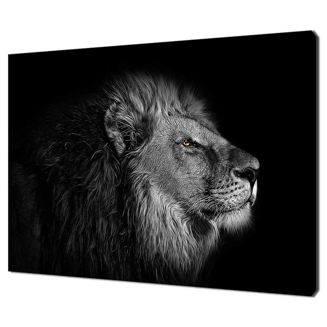 Powerful Lion Portrait On Black Background Golden Eye Monochrome Wall Art Print