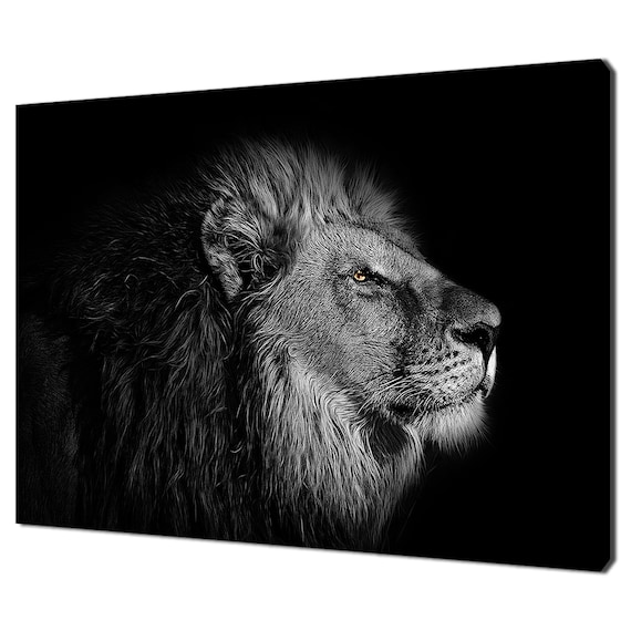 Powerful Lion Portrait On Black Background Golden Eye Monochrome Wall Art Print