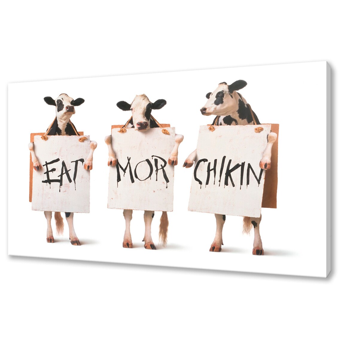 Cows Funny Picture Wall Art Print for Home Decor