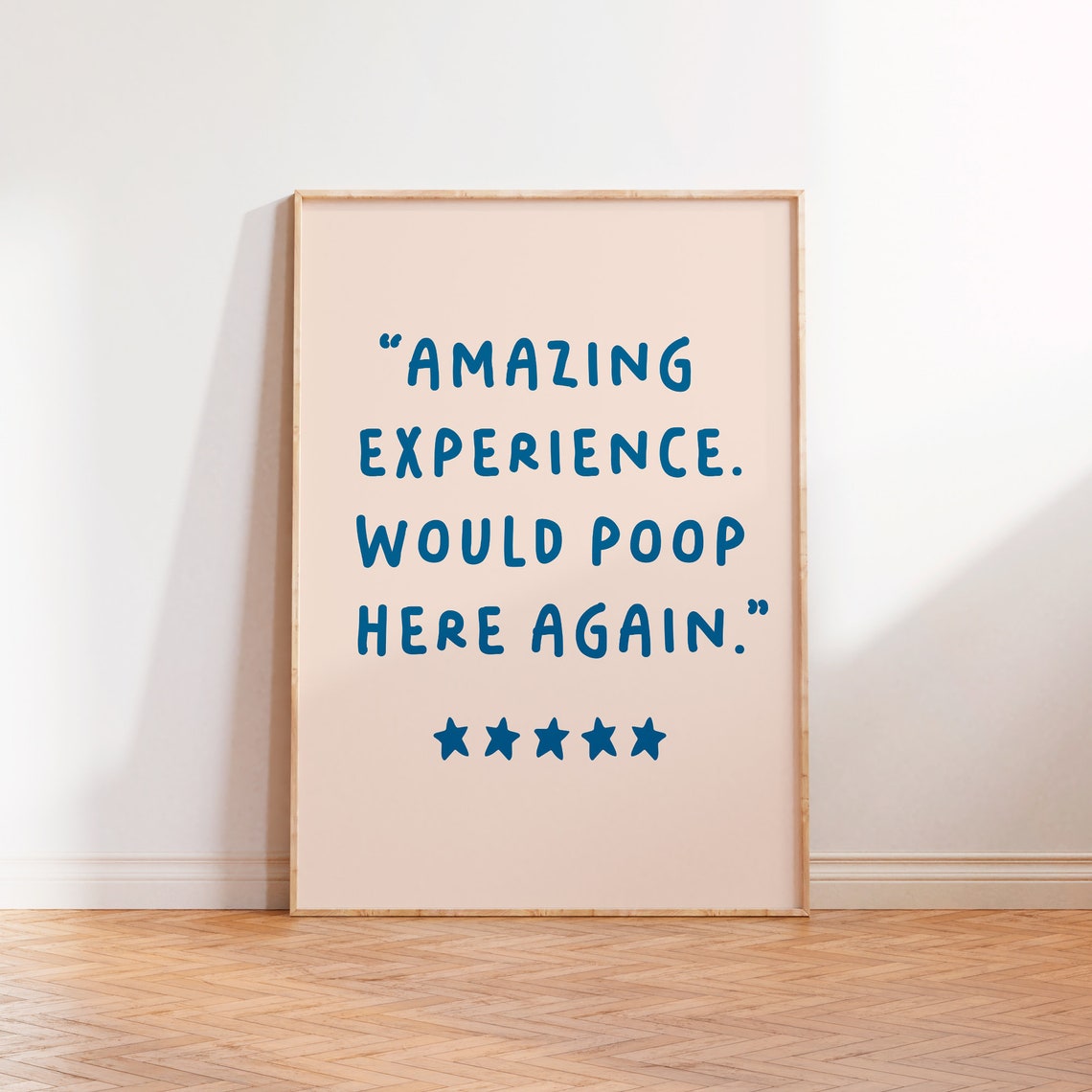 Amazing Experience Would Poop Here Again Funny Bathroom Quote Poster