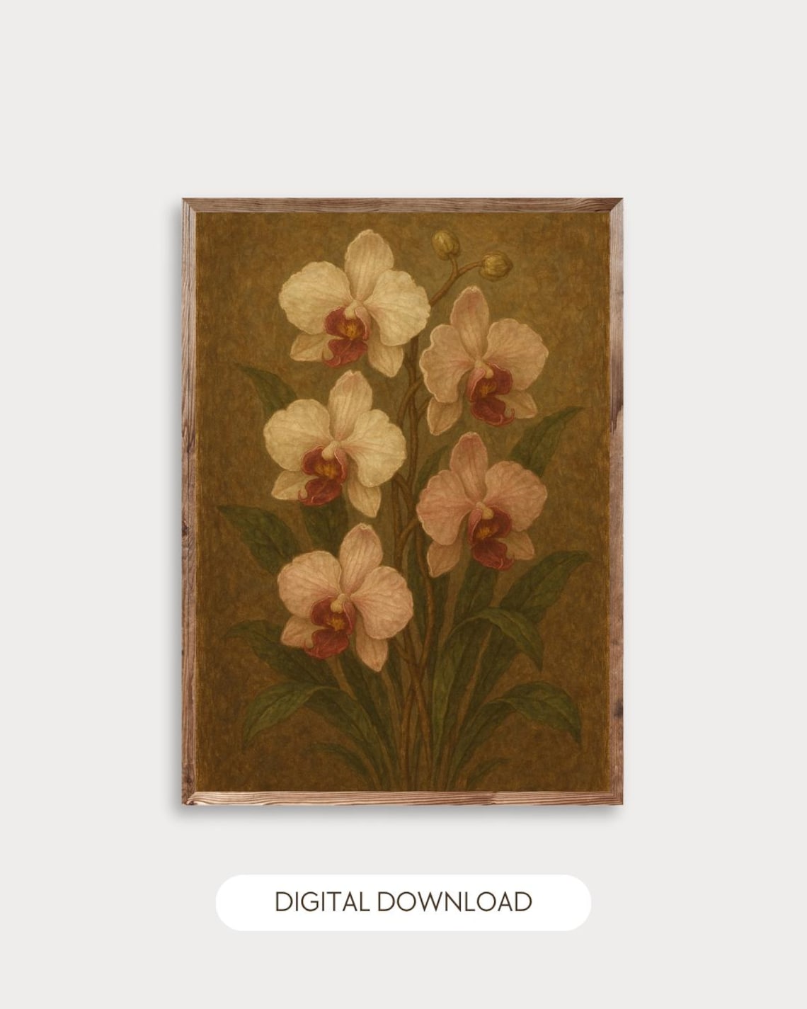 White Orchid Vintage Botanical Flower Painting Antique Floral Poster