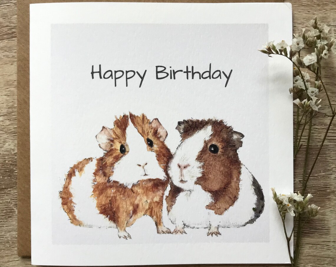 Guinea Pig Art Print, Pet Animal Wall Art