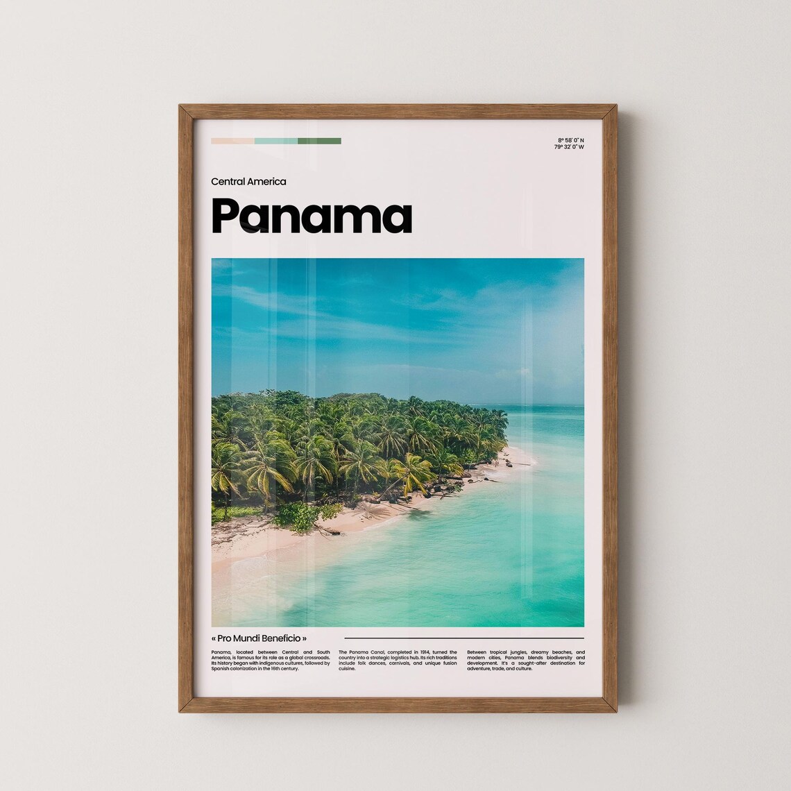 Panama Palm Island Beach Aerial Turquoise Water Central America Poster