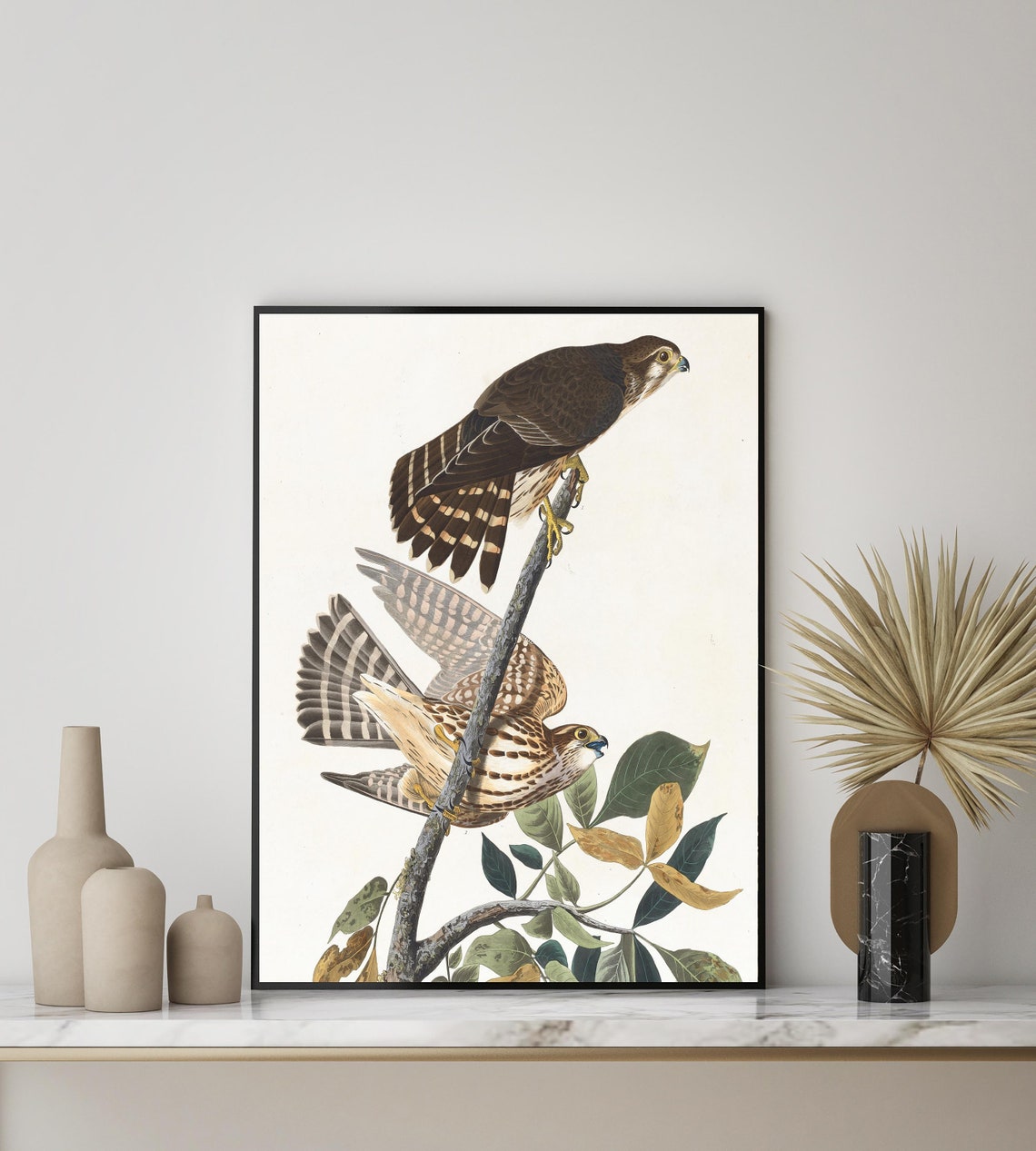 Pigeon Hawk Pair on a Branch by John James Audubon Vintage Bird Poster - Image 3