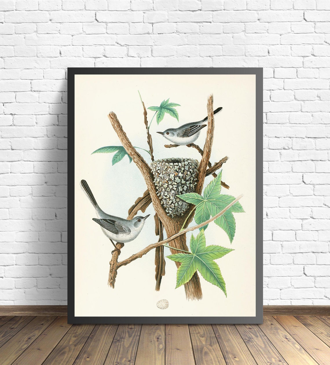 Blue Gray Gnatcatcher Pair at Their Nest Vintage Bird Art Poster - Image 2