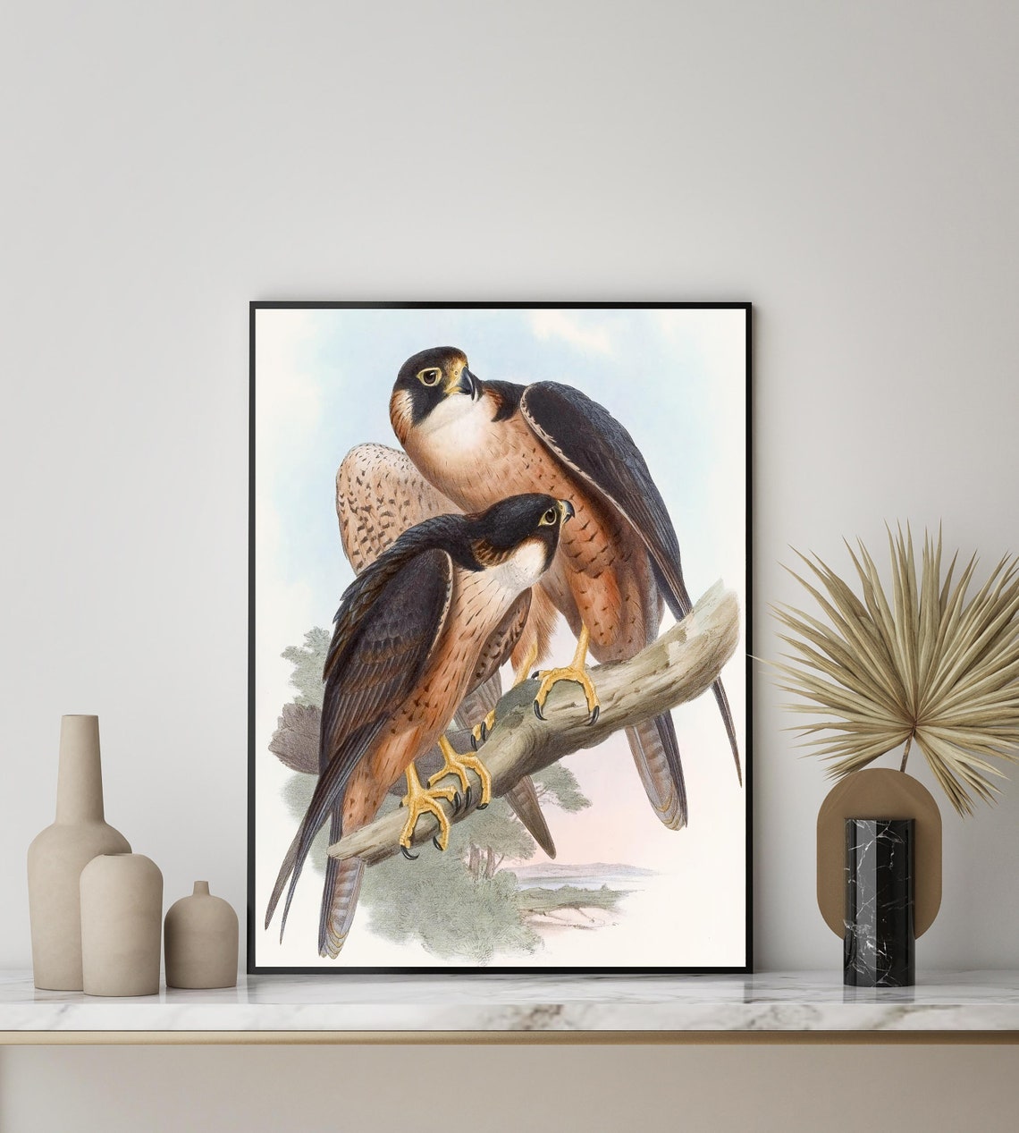 Shaheen Falcon Pair on a Branch by John Gould Vintage Bird Poster - Image 3