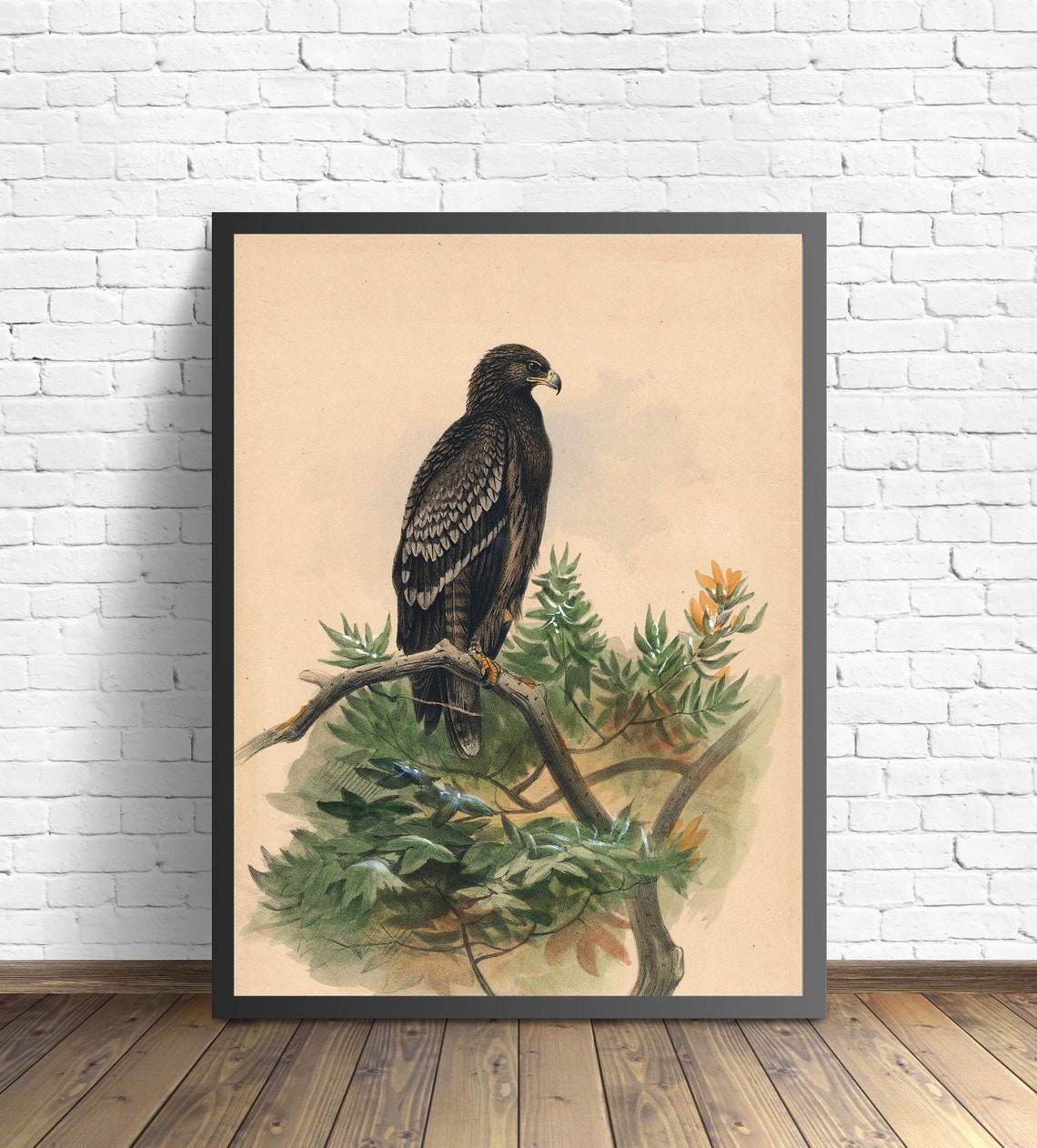 Spotted Eagle Perched on a Branch Vintage Ornithology Bird Poster - Image 2