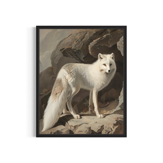 Vintage Arctic Fox In White Winter Coat Rocky Den Art Poster