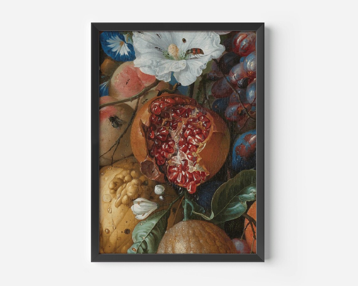 Pomegranate Botanical Print, Jan Davidsz De Heem - Image 3