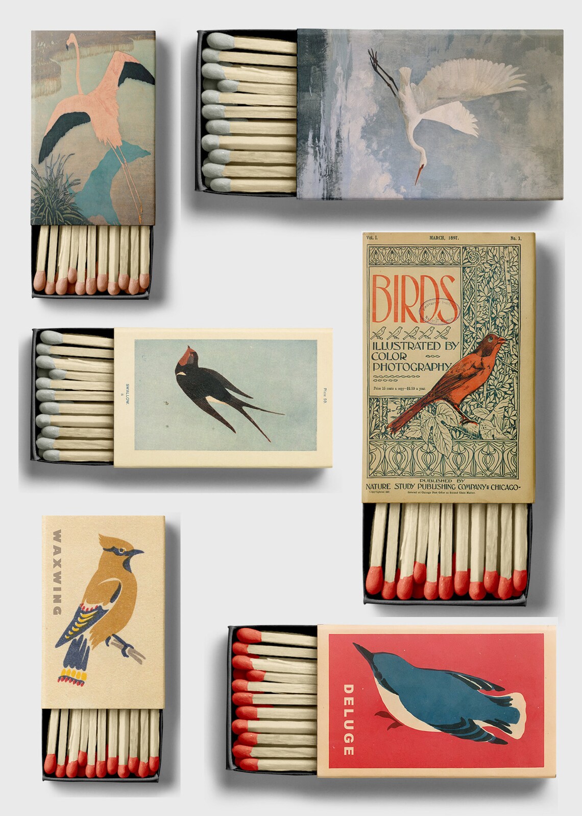 Vintage Bird Matchbox Collage, Retro Poster - Image 2