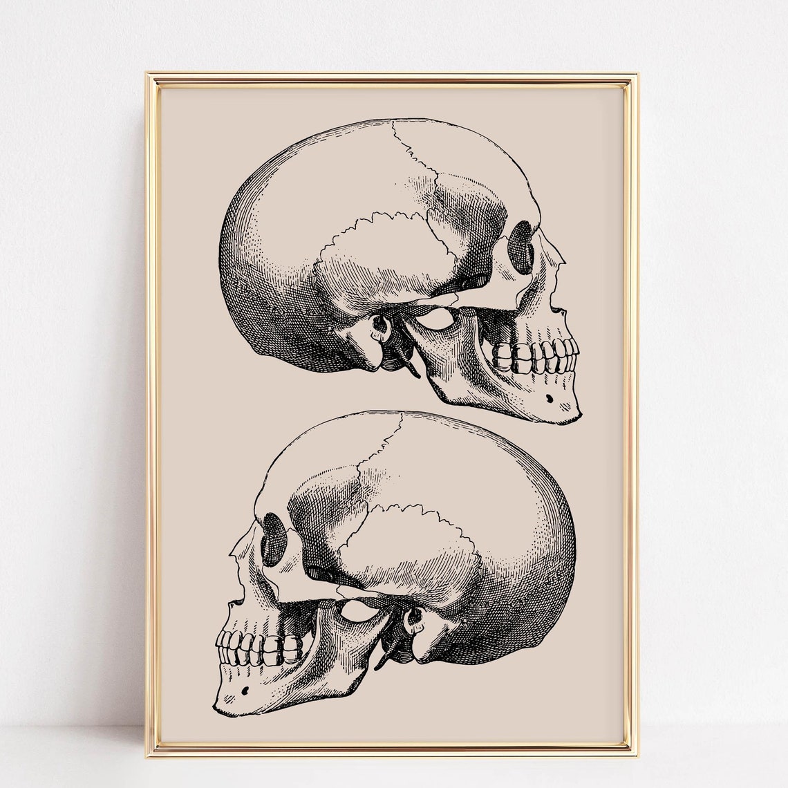 Vintage Anatomical Skull Engraving Dual Skeleton Gothic Art Poster