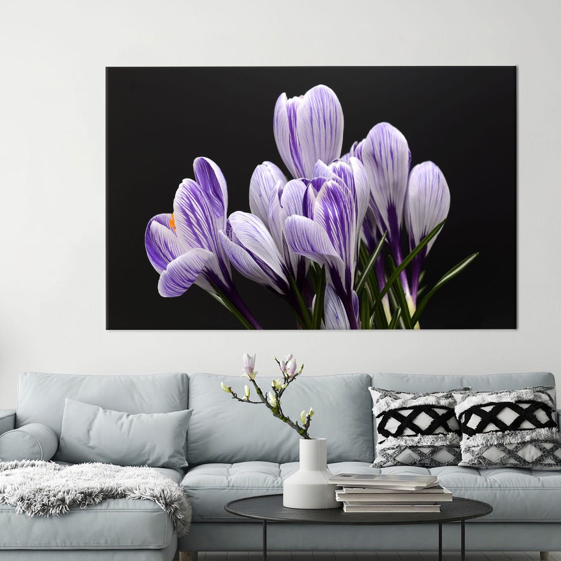 Purple Striped Crocus Flowers Blooming On Black Floral Art Poster