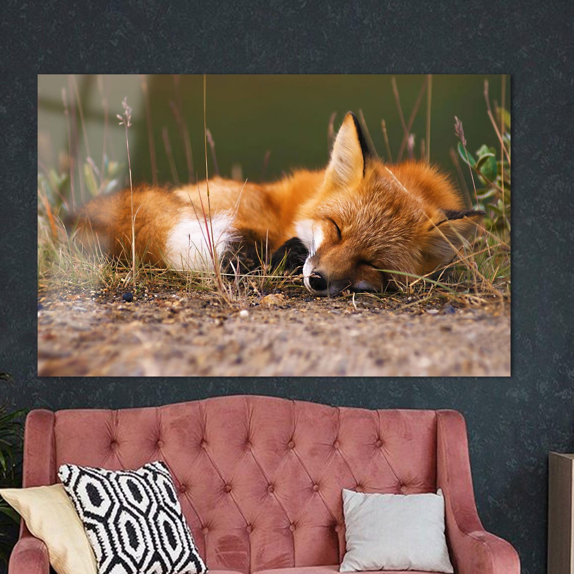 Sleeping Red Fox Curled Up Peacefully In The Grass Wildlife Poster - Image 2