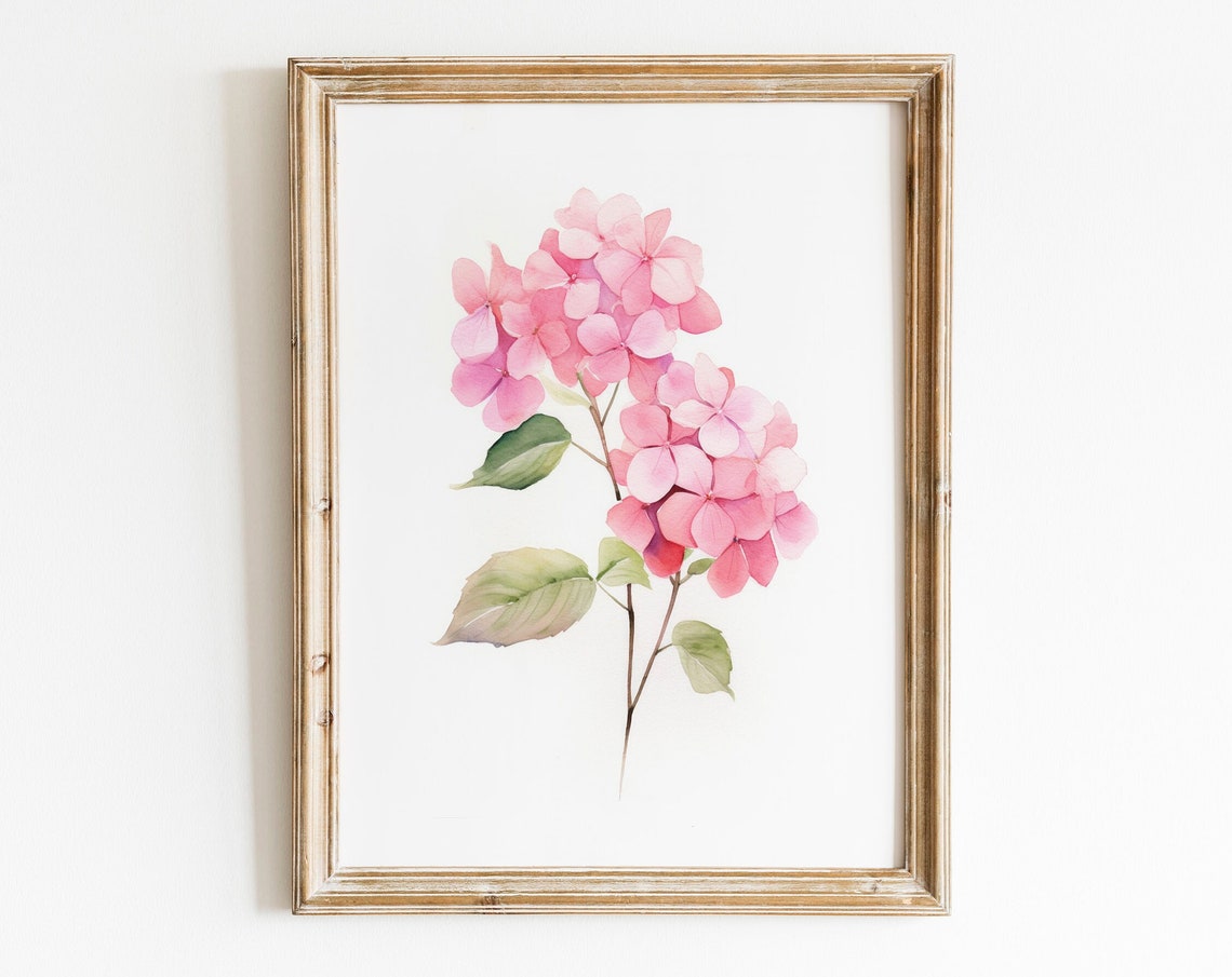 Pink Hydrangea Watercolor Flower Minimalist Botanical Art Poster