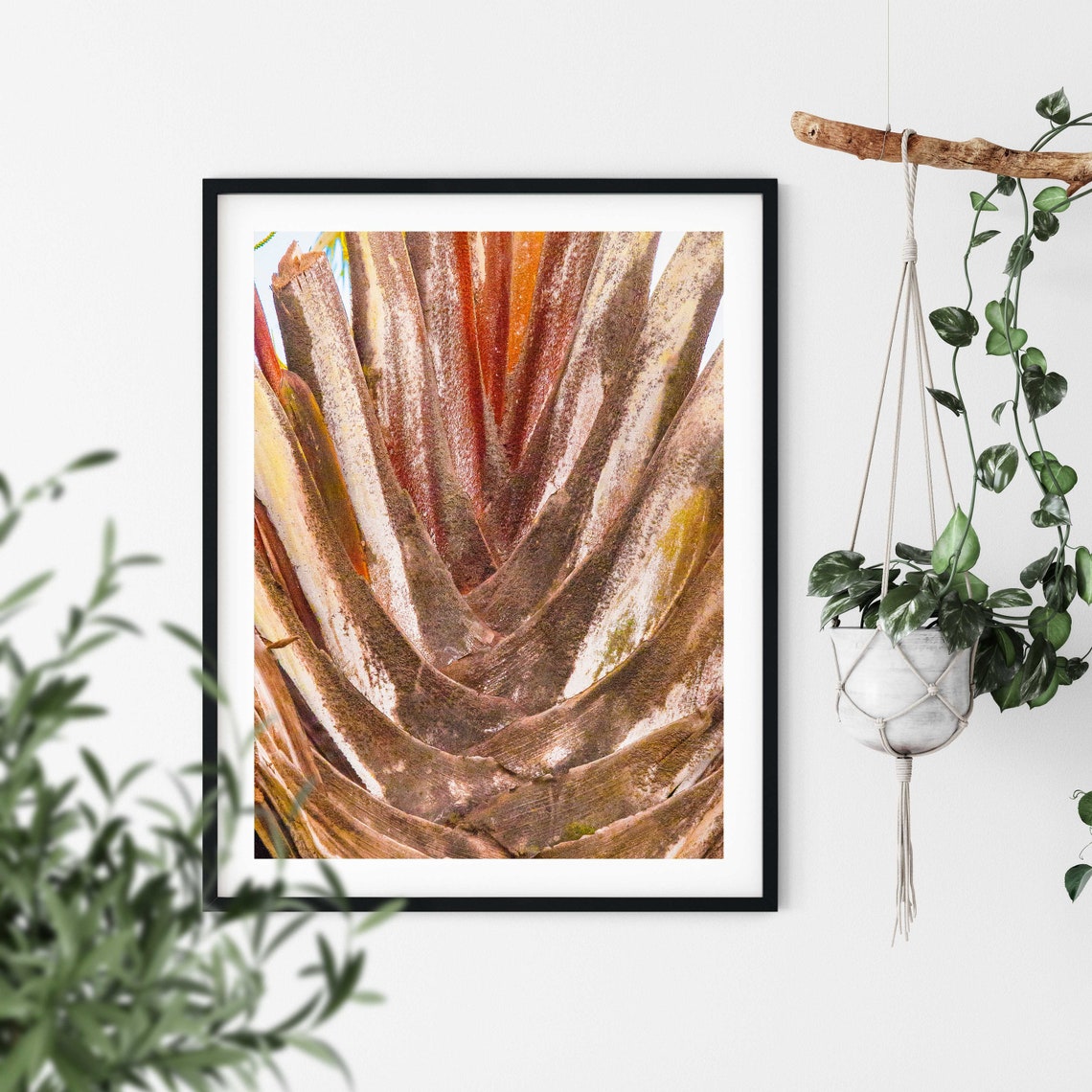 Close Up Textured Palm Tree Trunk Natural Detail Photo Poster - Image 2