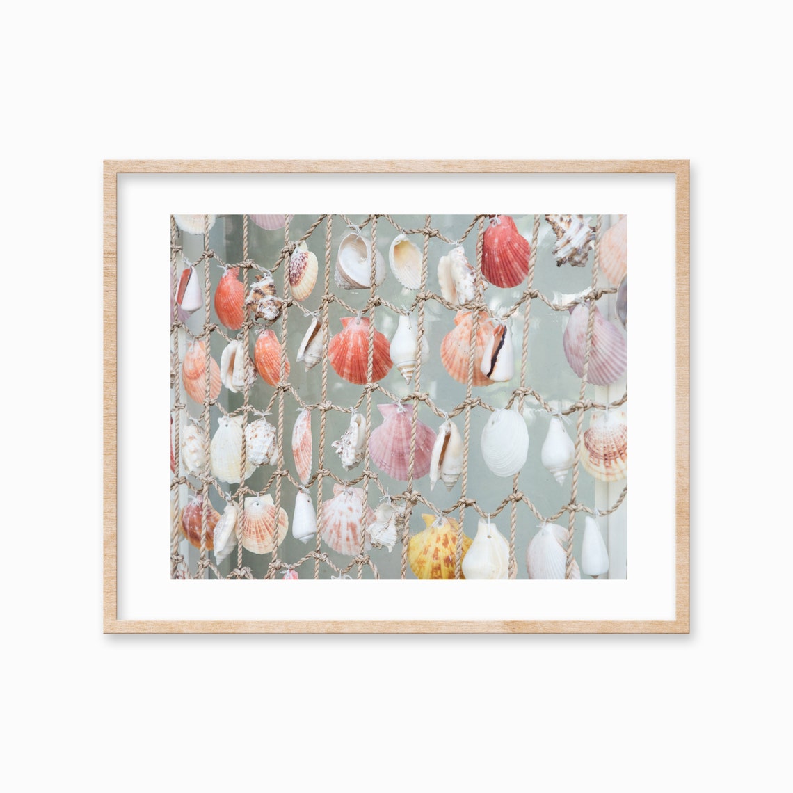 Seashell Curtain on Rope Net Coastal Decor Photography Poster