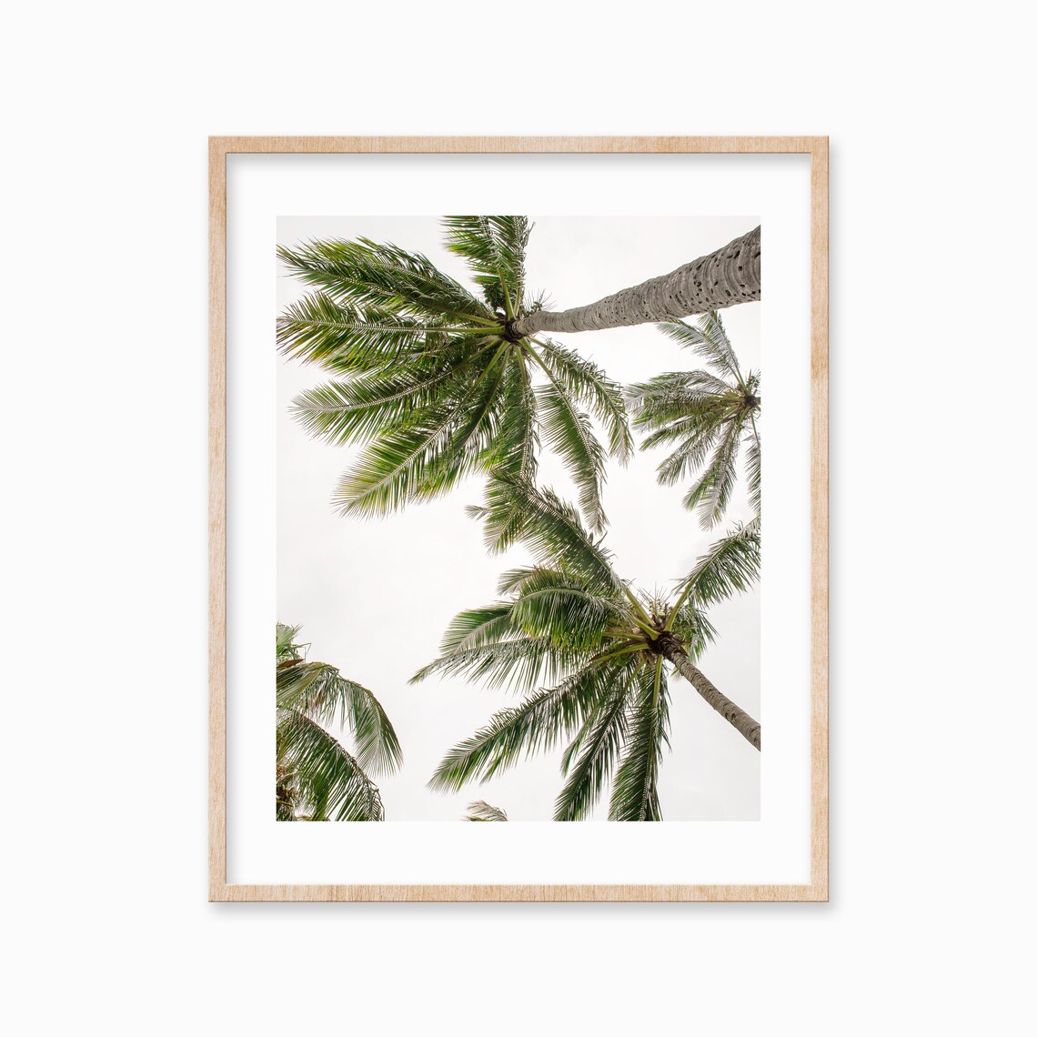 Vertical Palm Tree Beach Coastal Tropical Wall Decor Large Palm Tree Poster Beach Photography Botanical Print