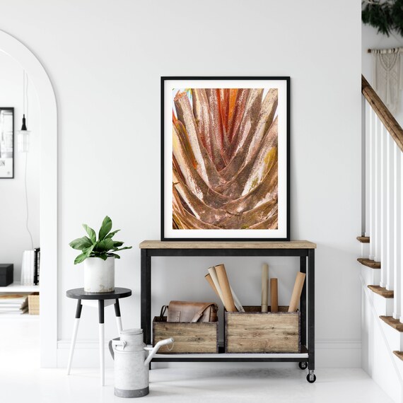 Close Up Textured Palm Tree Trunk Natural Detail Photo Poster