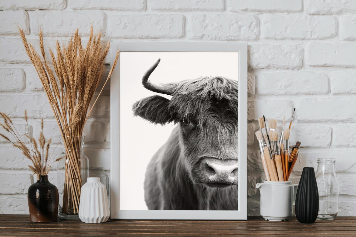 Shaggy Highland Cow Black And White Close-Up Photography Wall Art - Image 2