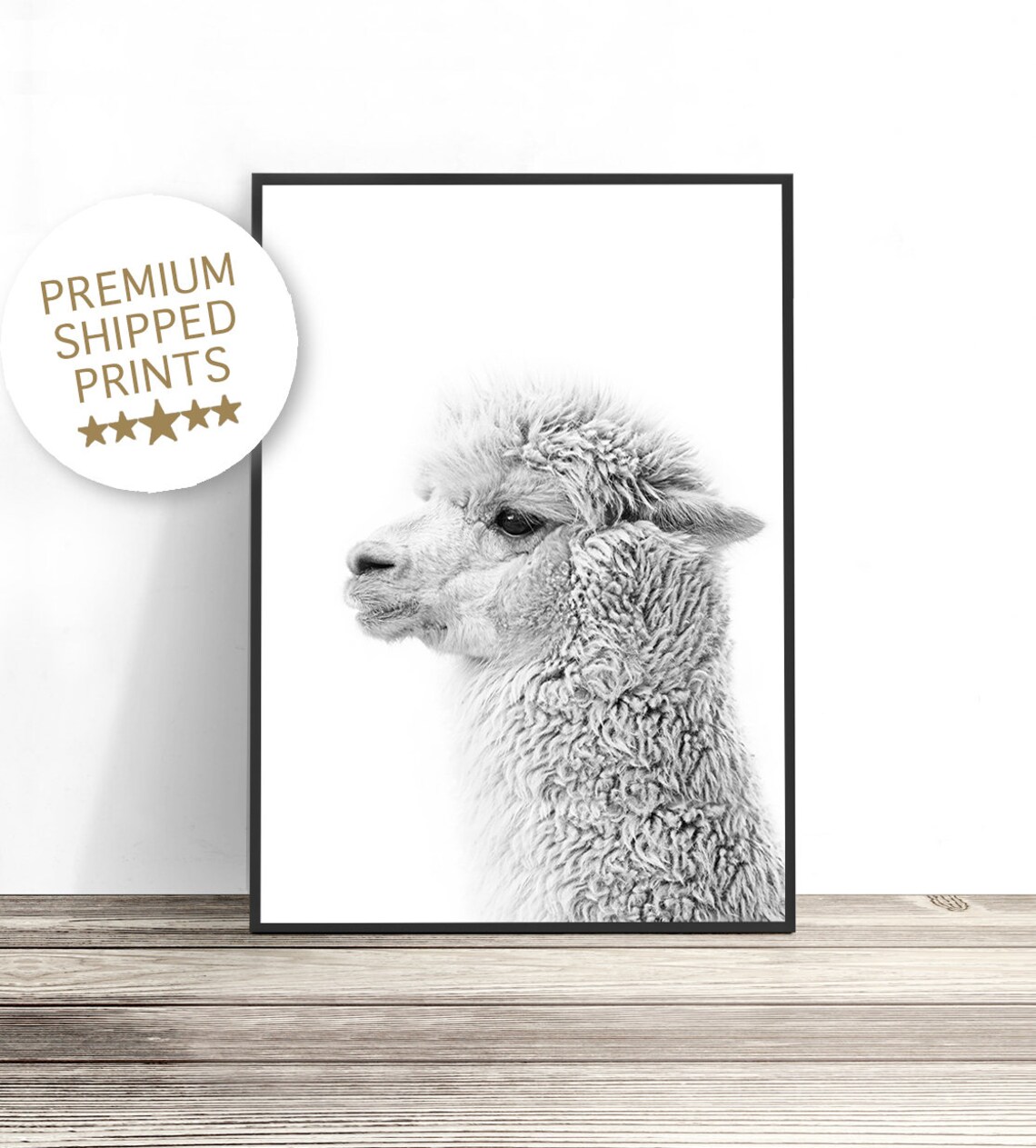 Black And White Alpaca Side Profile Minimal Animal Photography Art Print