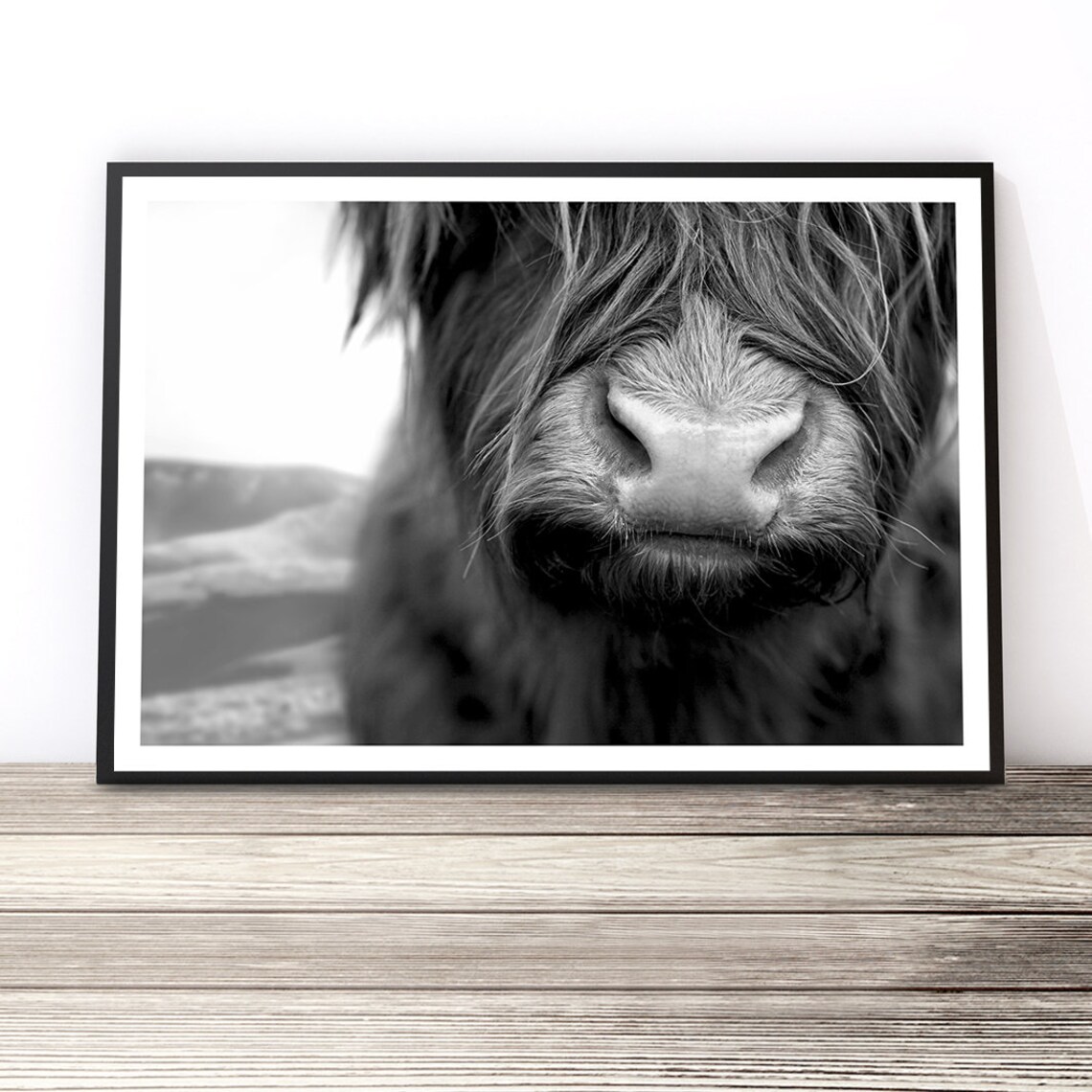 Highland Cow Black And White Photography Art Print